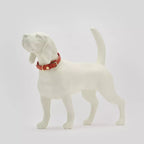 Vogel Dog Collar