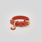 Vogel Dog Collar