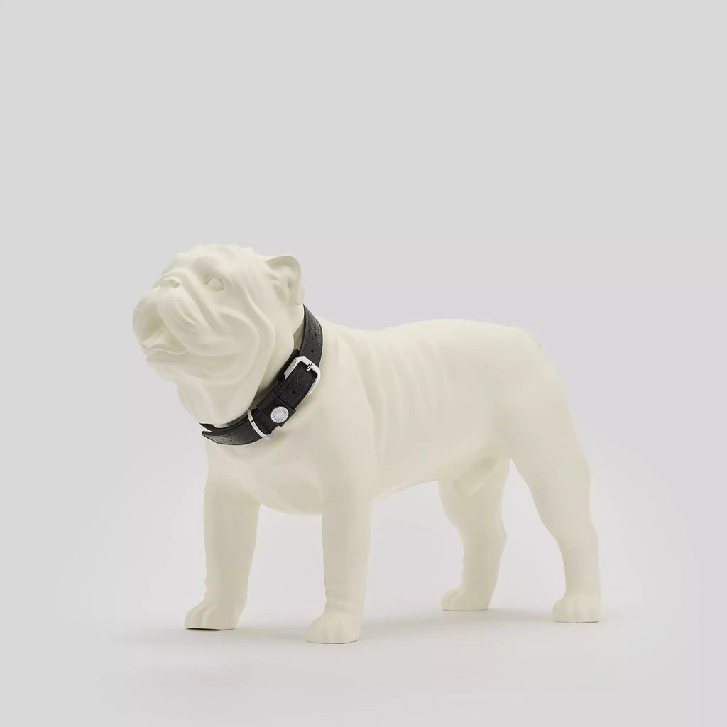 Vogel Dog Collar