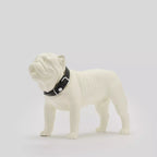 Vogel Dog Collar