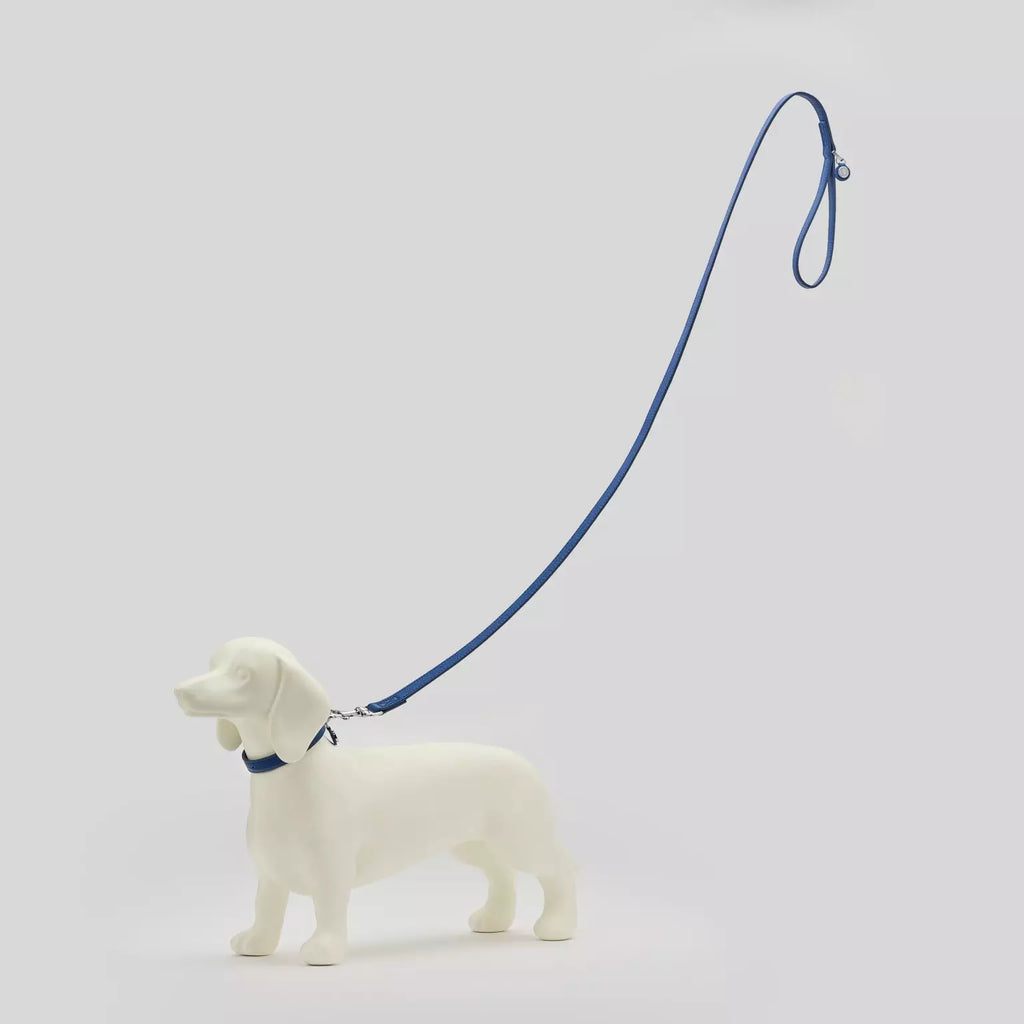 Vogel Dog Leash