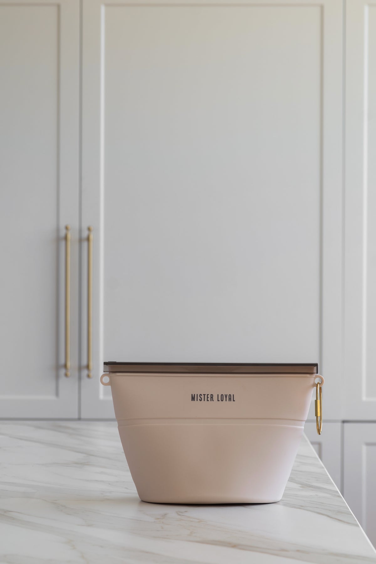 Mister Loyal 2-in-1 Travel Bowl