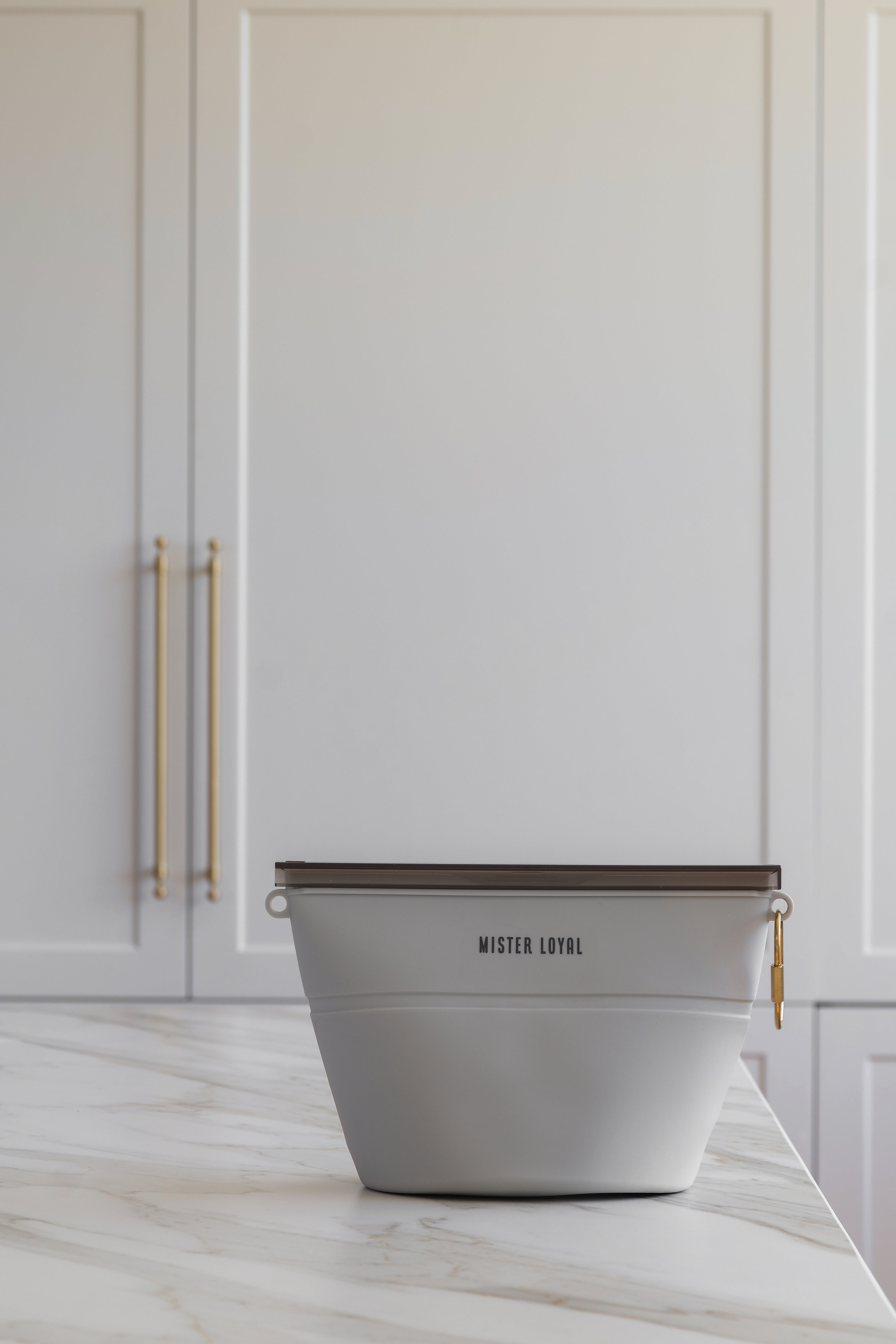 Mister Loyal 2-in-1 Travel Bowl