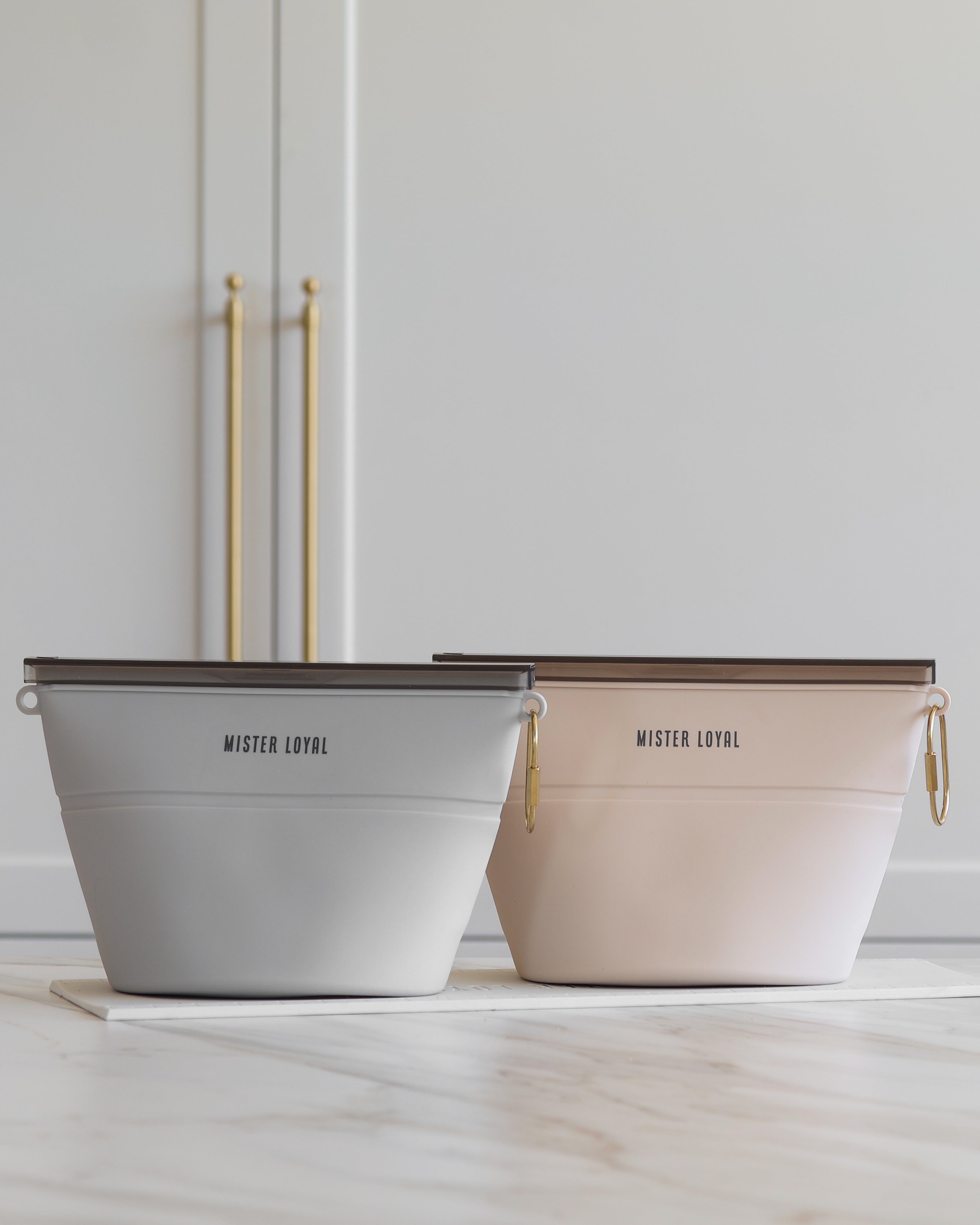 Mister Loyal 2-in-1 Travel Bowl