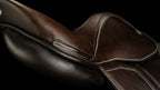 Voltaire Design Blue Wing