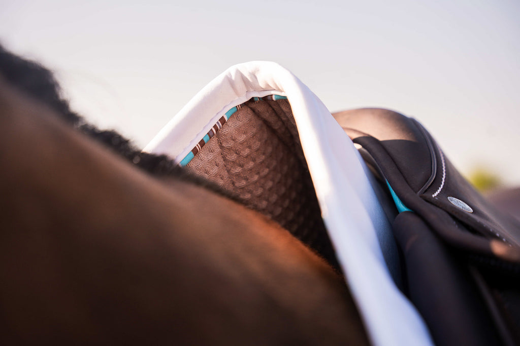 Voltaire Design Jumping Saddle Pad