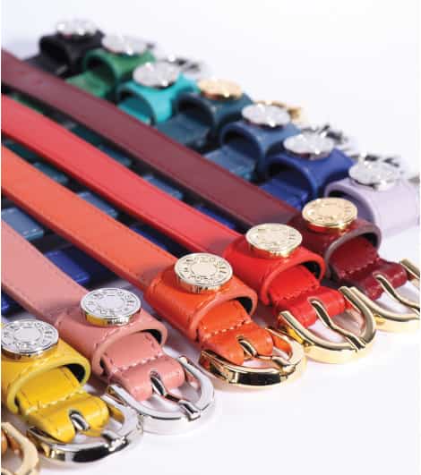 Vogel Rainbow Bracelet